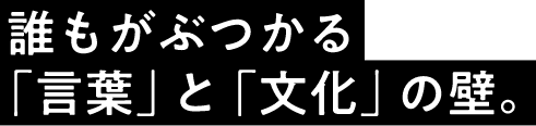 The barrier of language and culture that everyone encounters